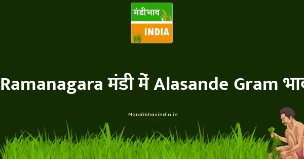 Alasande Gram भाव